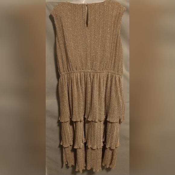 NY & Co🪩🏵️Metallic Plisse Tiered Rosette Dress - Picture 11 of 11